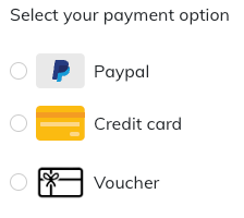 Screenshot showing payment options interface with voucher selection highlighted