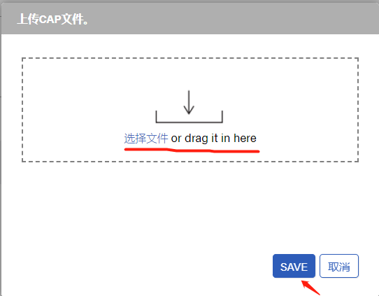 cap_2.png